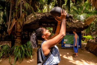 Vallee de Mai + Anse Lazio Bus Tour - from Praslin