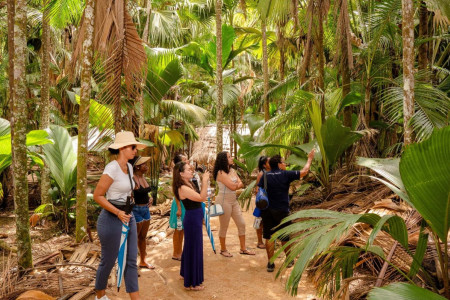 Vallee de Mai + Anse Lazio Bus Tour - from La Digue