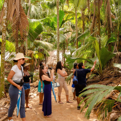 Guided tour