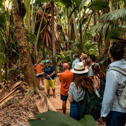 2- Guided tour