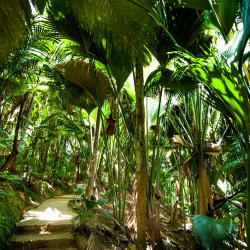 3- Vallee de Mai