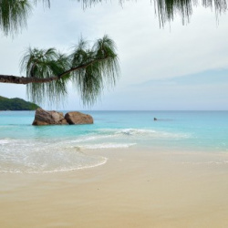 8- Beach Anse Lazio