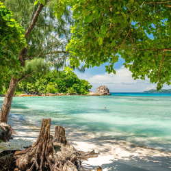 7- Anse Severe