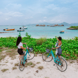 1- Bikes and ocea