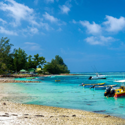 fishing boats