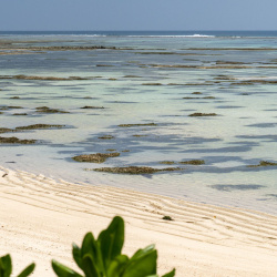 La Digue island