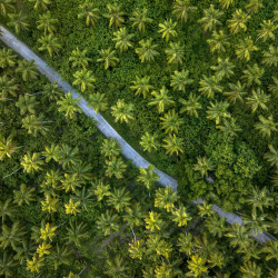 Drone shot Union Estate
