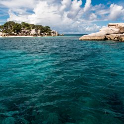 7- Coco Island