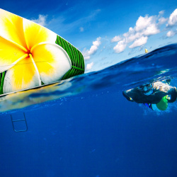 7 - Snorkelling