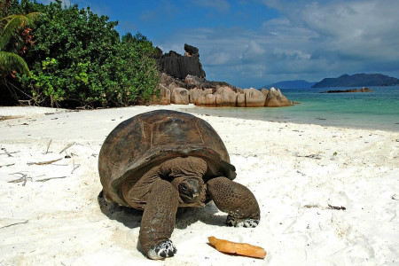 Cousin, Curieuse and St Pierre Islands - from Praslin