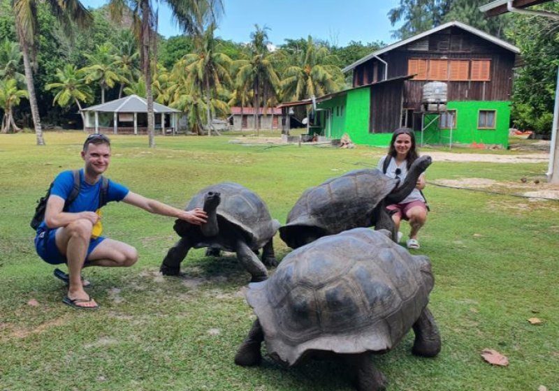 1- Giant Tortoises