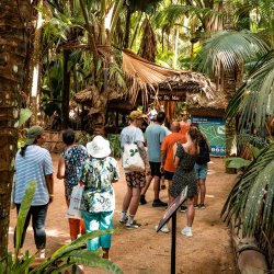 Entrance Vallee de Mai