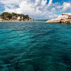 Coco Island