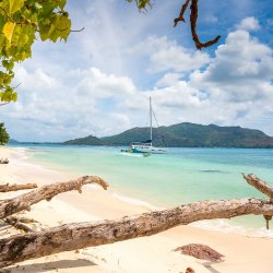 3- Anse Jose Beach