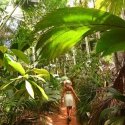 3. Explore Vallee de Mai