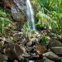 7. Waterfall Praslin Vallee de Mai
