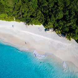 aerial view of beach