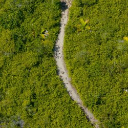 Anse Badamier Nature trail