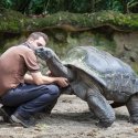 6. Curieuse Island giant tortoises