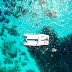 2 - Catamaran