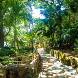 Moyenne Island