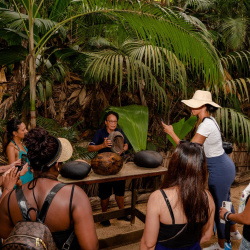 Vallee de Mai