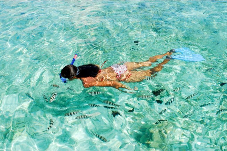 Seychelles Snorkeling 