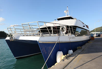 Cat Rose I Ferry