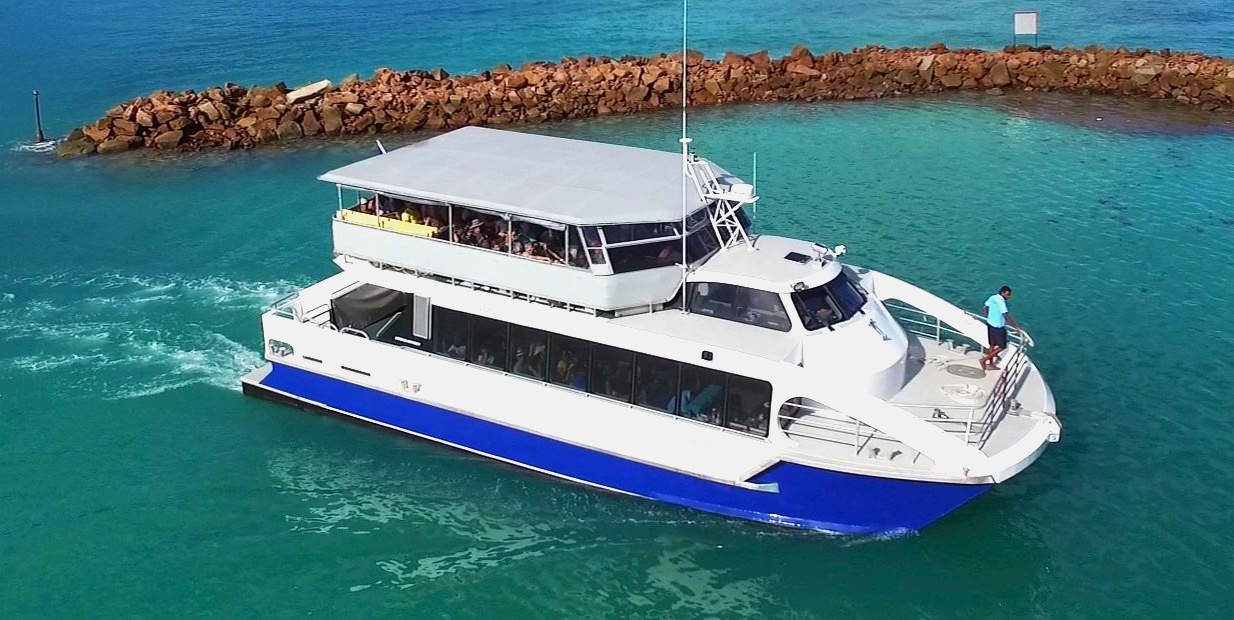 Cat Rose Ferry II