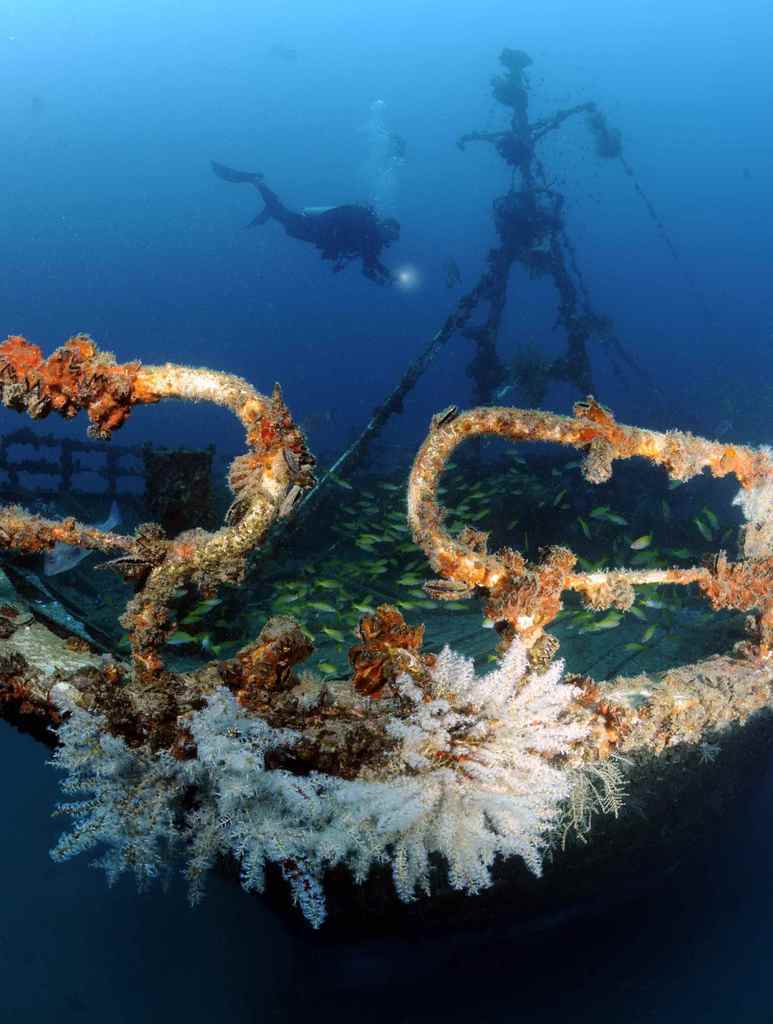 Diving Seychelles