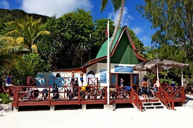 Whitetip Taucher - Praslin