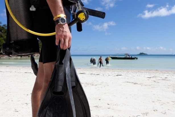 Dive Praslin Seychelles White tip