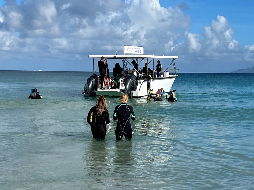 Blue Sea Diver boat dive