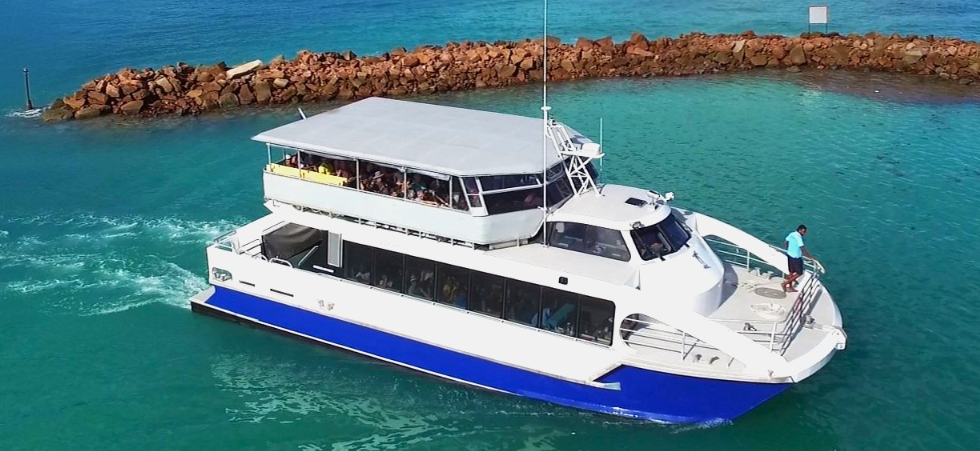 Cat Rose Ferry II