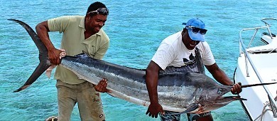 Mahe Big Game Fishing