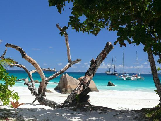 segeln seychellen anse lazio